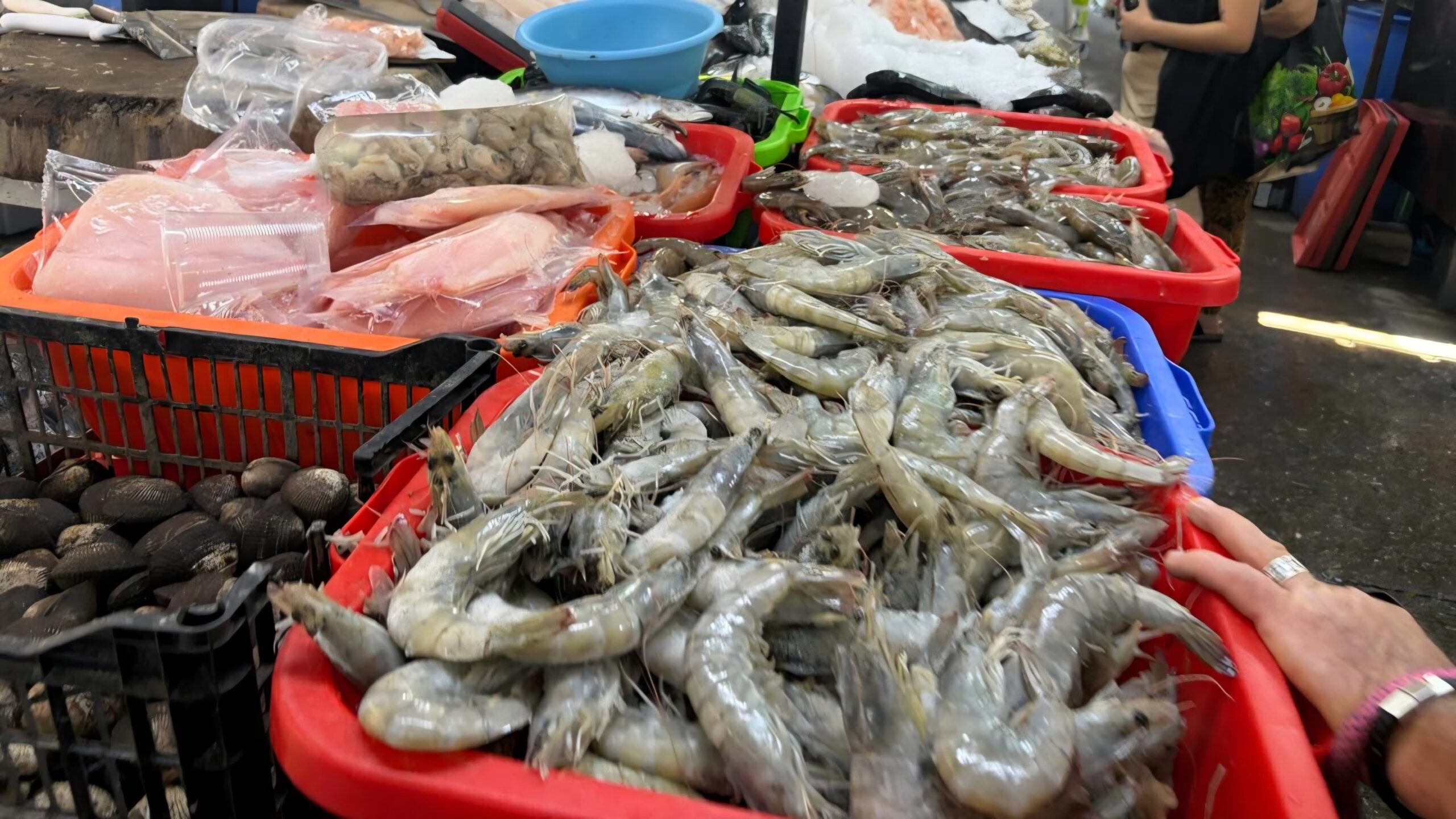 Bajas ventas de pescados y mariscos previo a Semana Santa