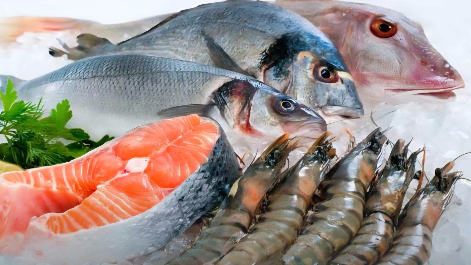 Llaman a reforzar higiene en consumo de pescados y mariscos durante Cuaresma