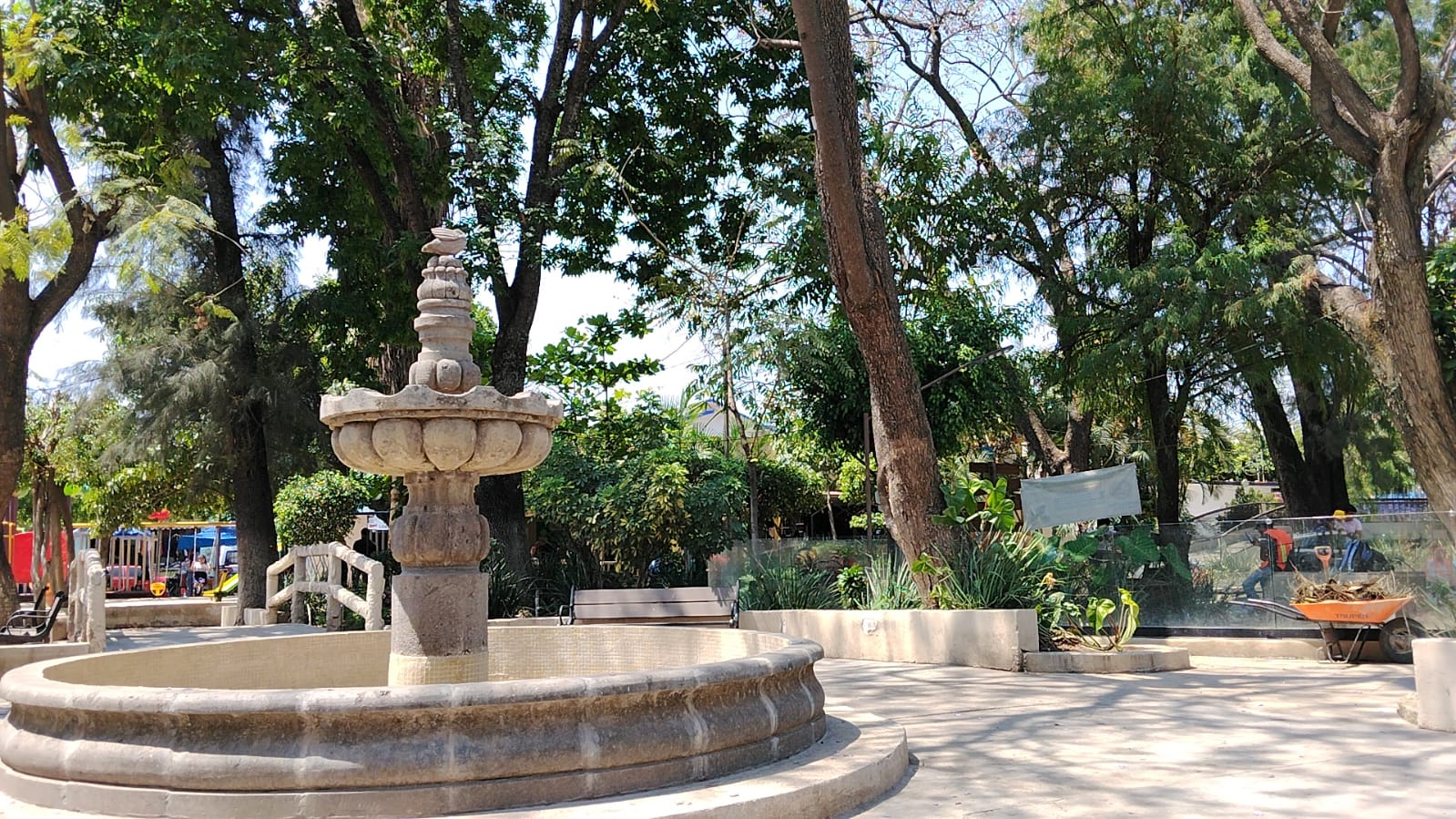 Impulsa AC Vida Silvestre creación de jardines para polinizadores