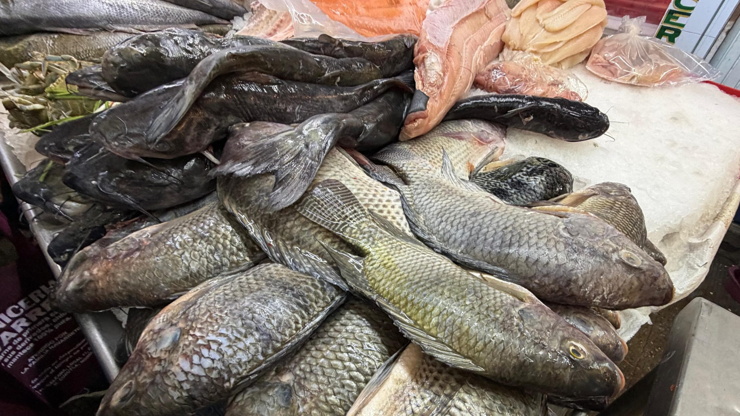 Repunta venta de mariscos en Cuautla durante fin de semana santo