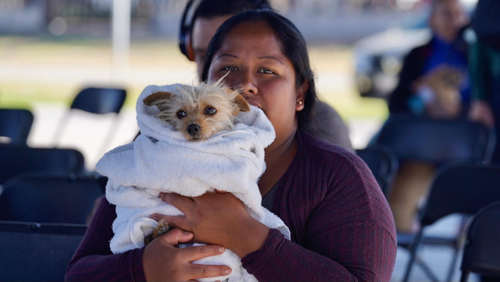 Anuncia Cuautla jornada gratuita de esterilización canina y felina