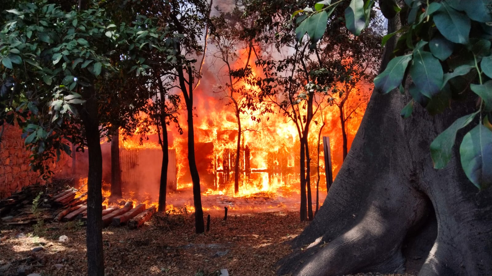 Policía de Cuautla evita propagación de incendio en predio
