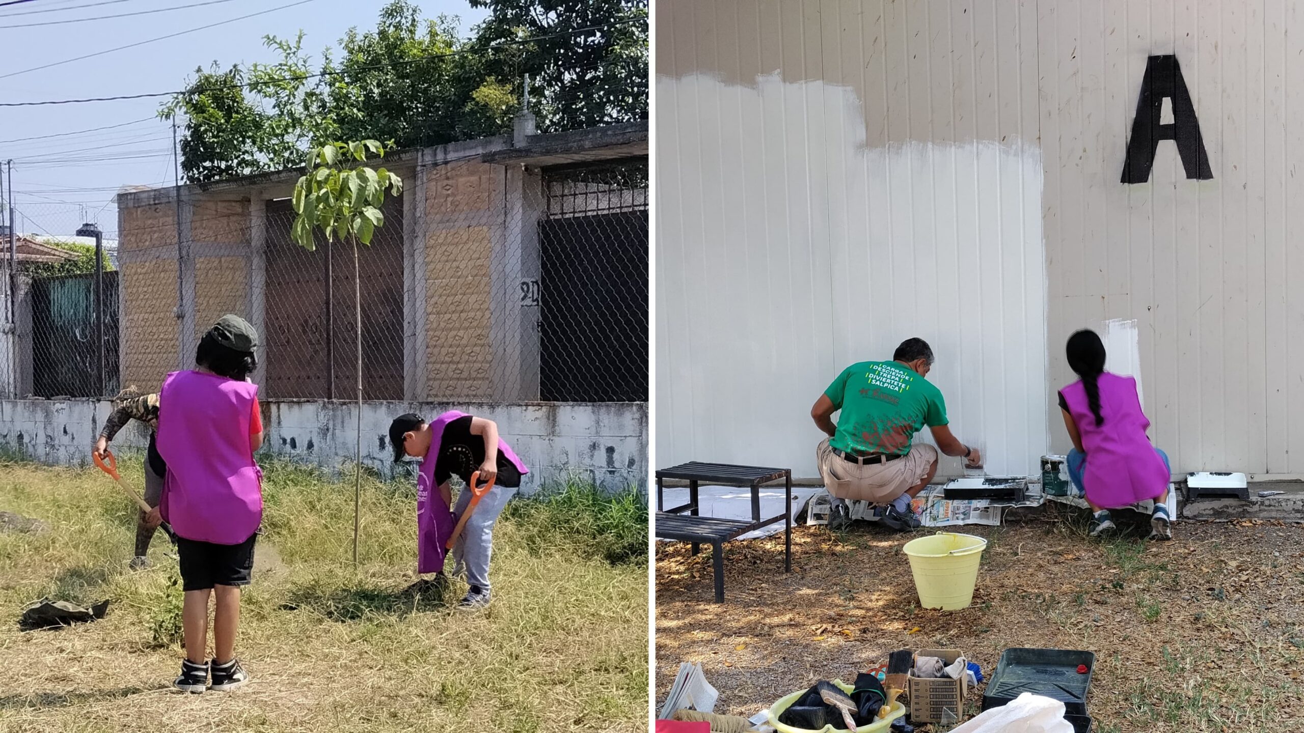 Reforestan la Casa de la Cultura en Cuautla