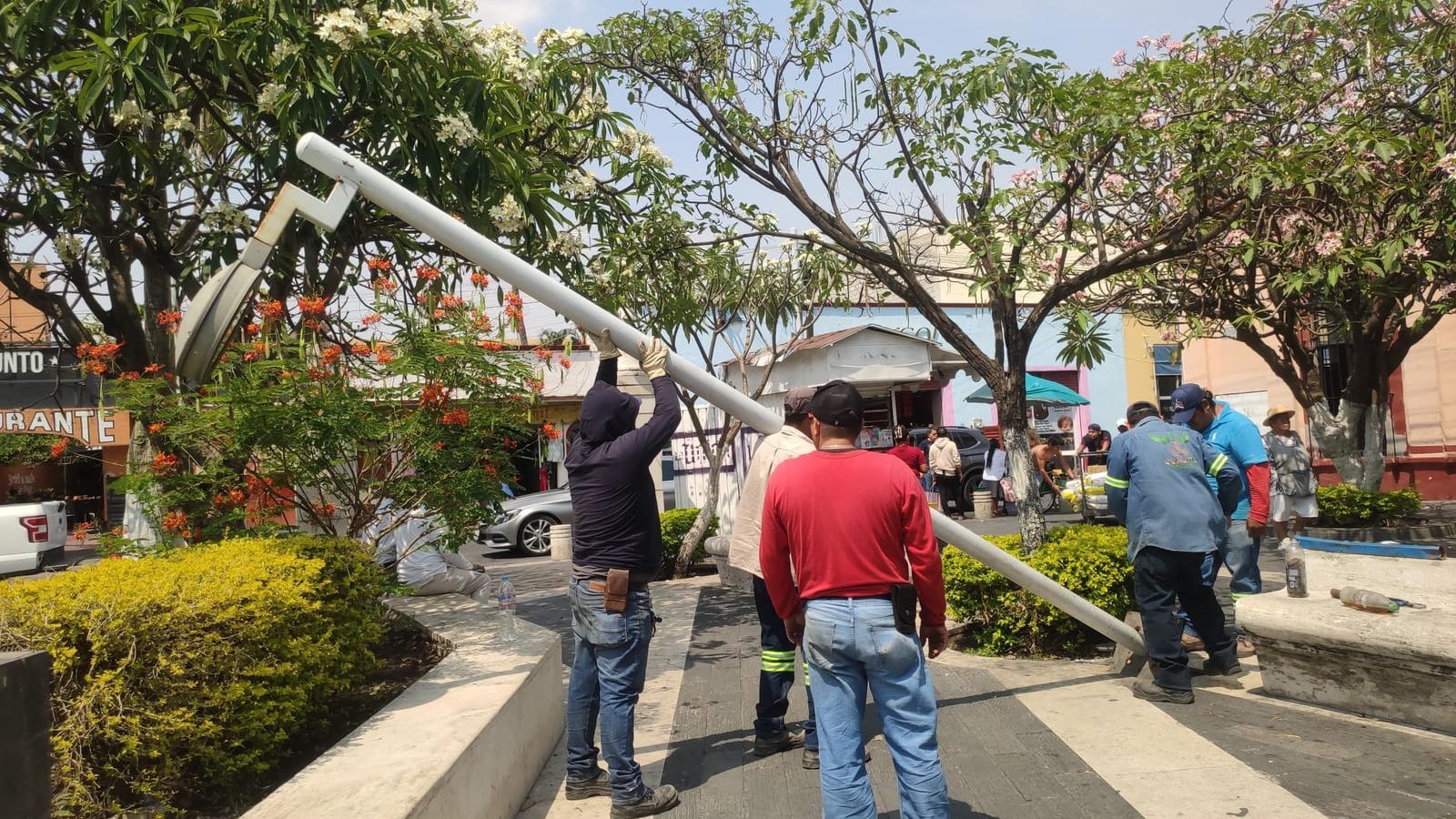 Modernizan alumbrado en la Alameda de Cuautla