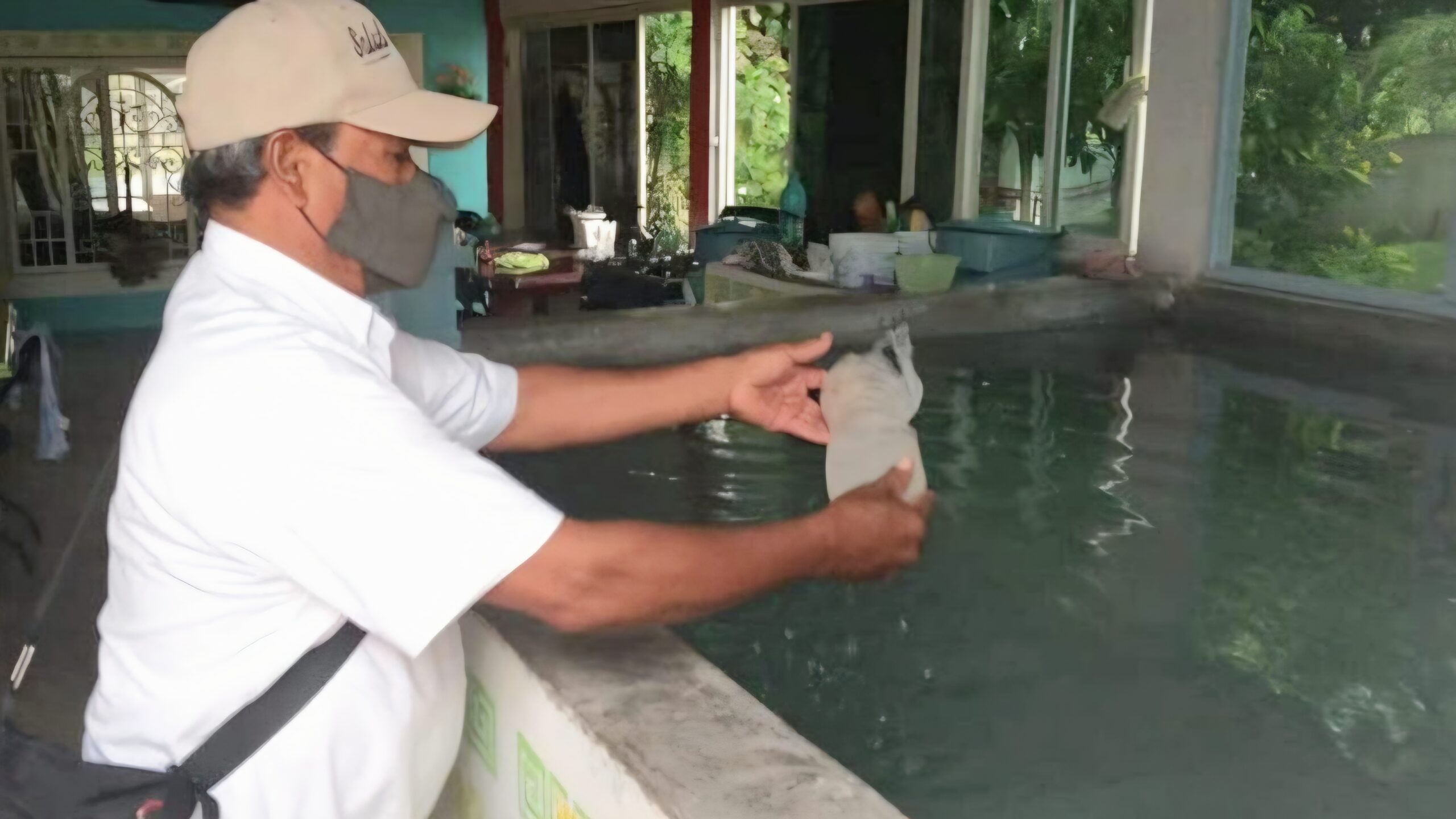 Anuncian jornada de control larvario en Amayuca para prevenir dengue