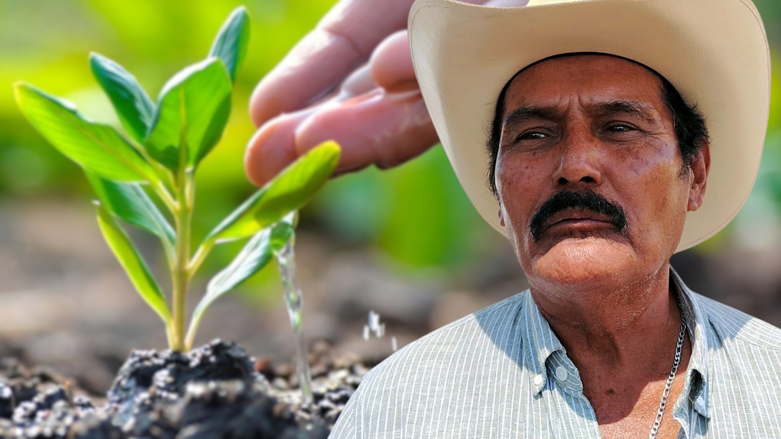Anuncian campaña de reforestación en el ejido de Anenecuilco