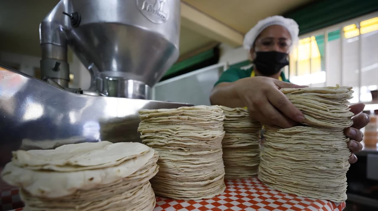 Prevén aumento en precio de tortilla elaborada con harina