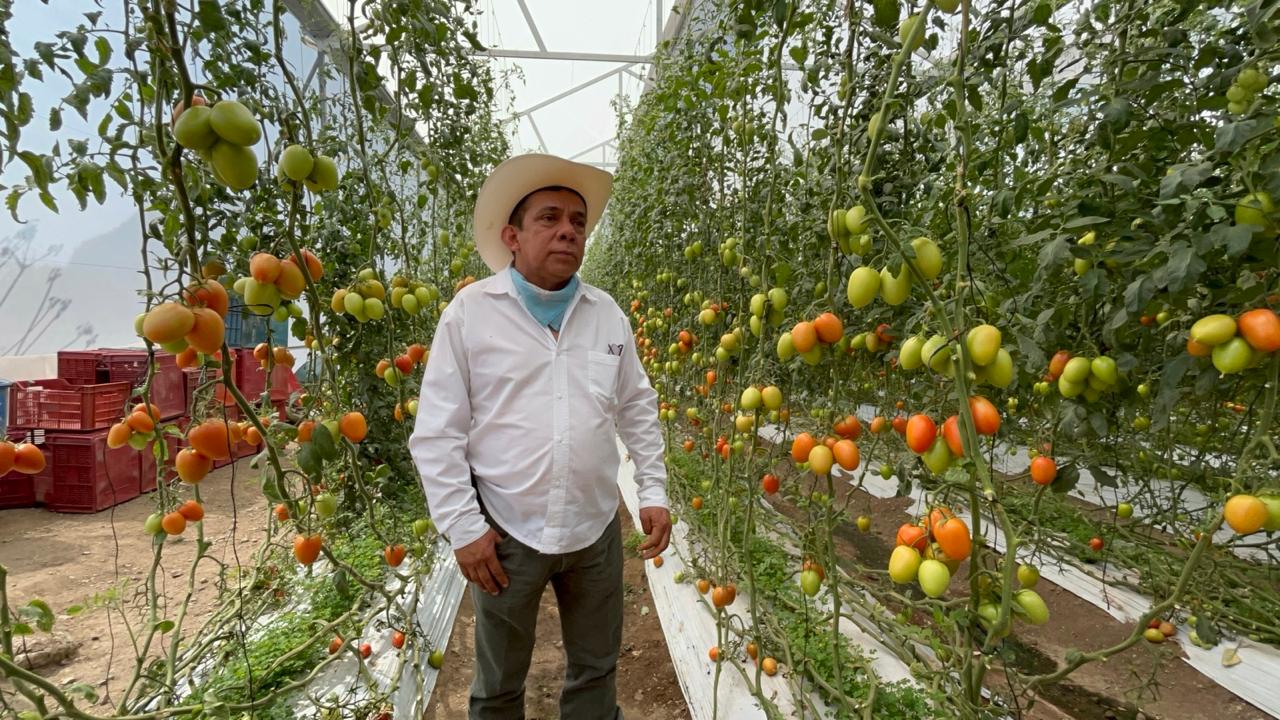 Campesinos buscarán reunión con nuevo titular de Seguridad en Morelos