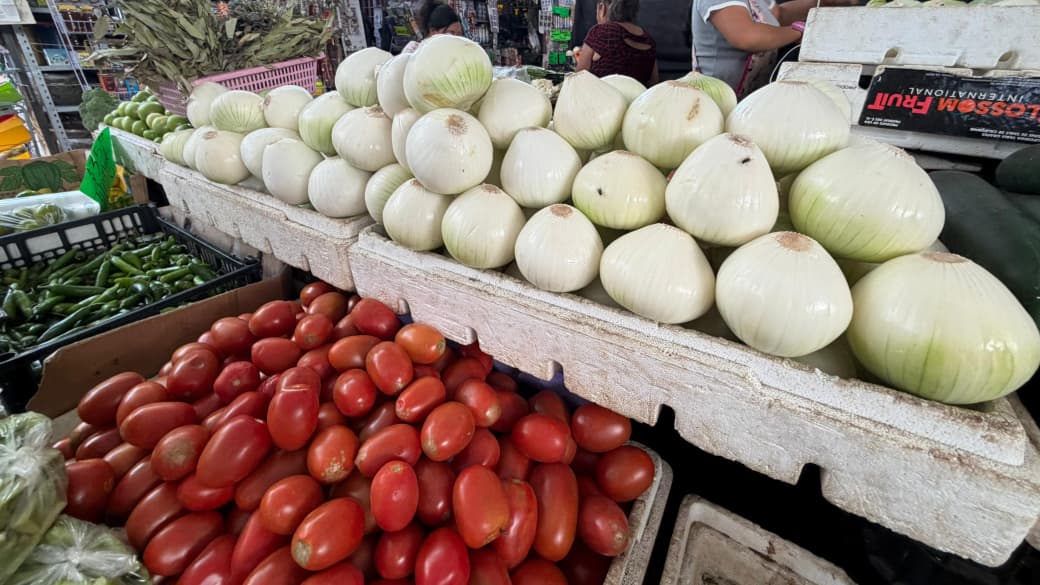 Baja precio del jitomate en mercados de Cuautla; limón también registra ligera reducción