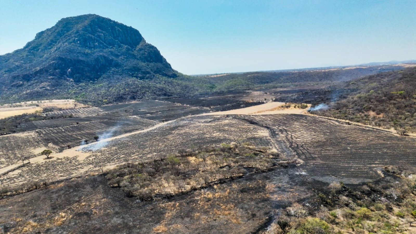 Refuerzan llamado para prevenir incendios por quemas agrícolas en Morelos