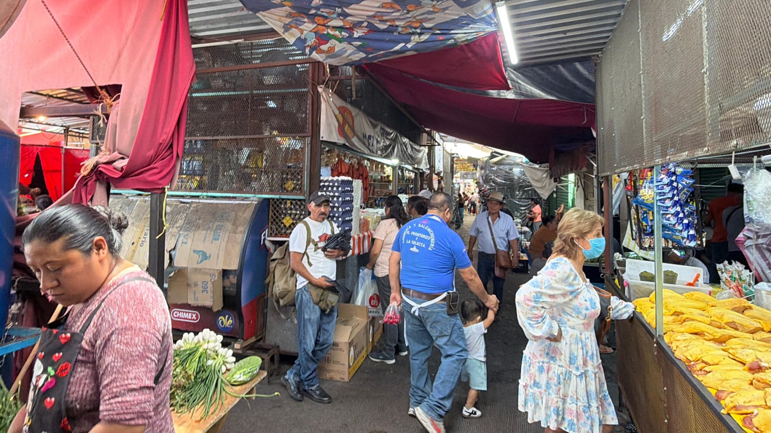 Comerciantes del mercado Hermenegildo Galeana de Cuautla piden fumigación urgente