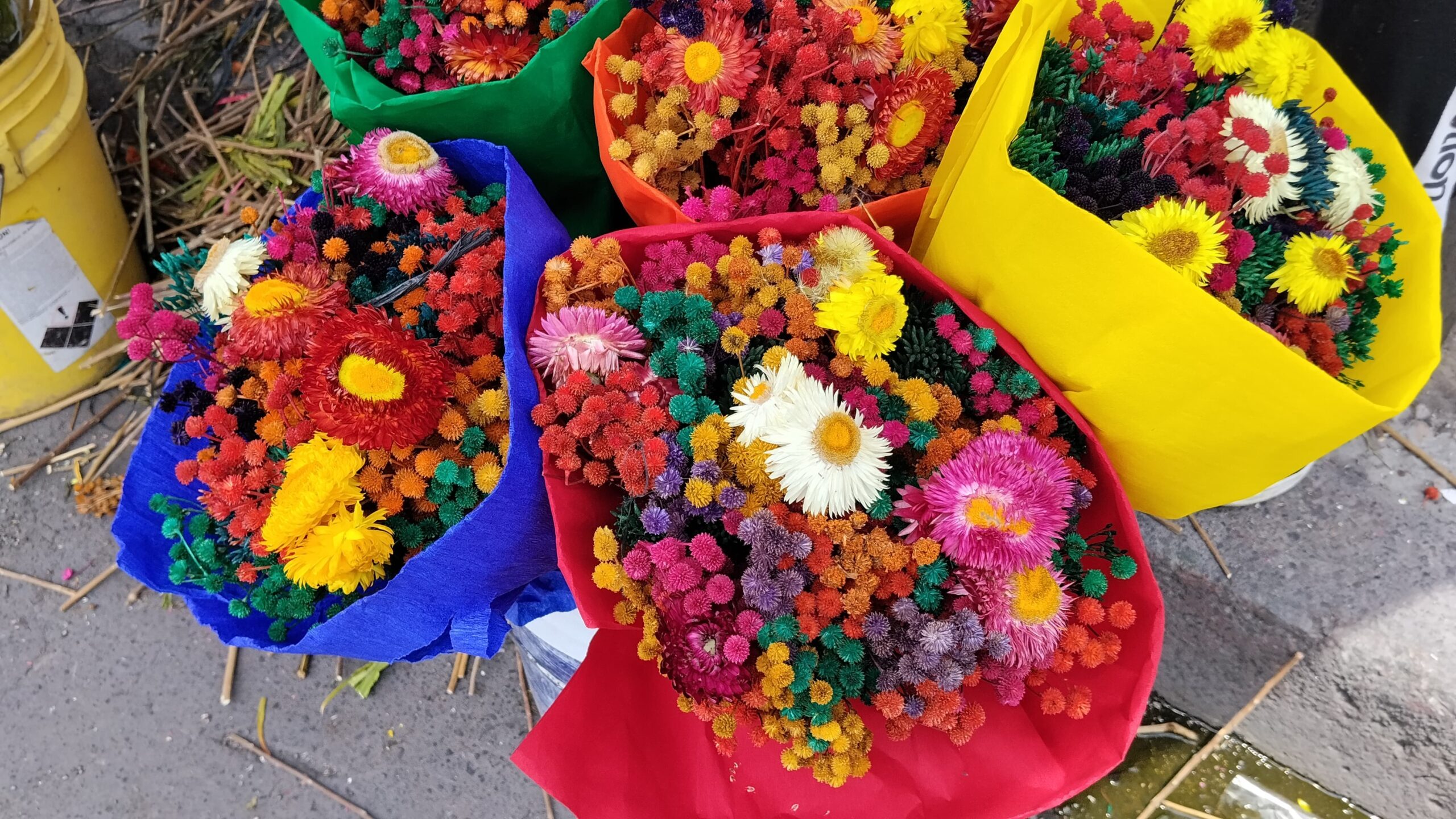 Ofertan flor seca como alternativa económica y preventiva contra el dengue