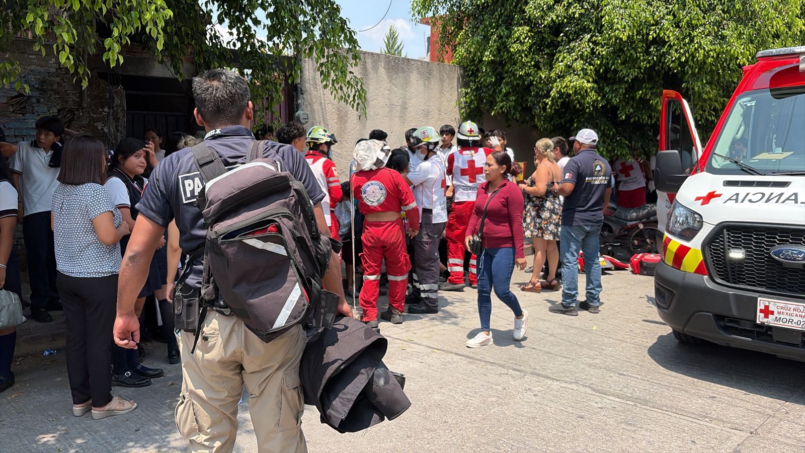 Ataque de abejas deja 40 estudiantes afectados en telesecundaria de Cuautla