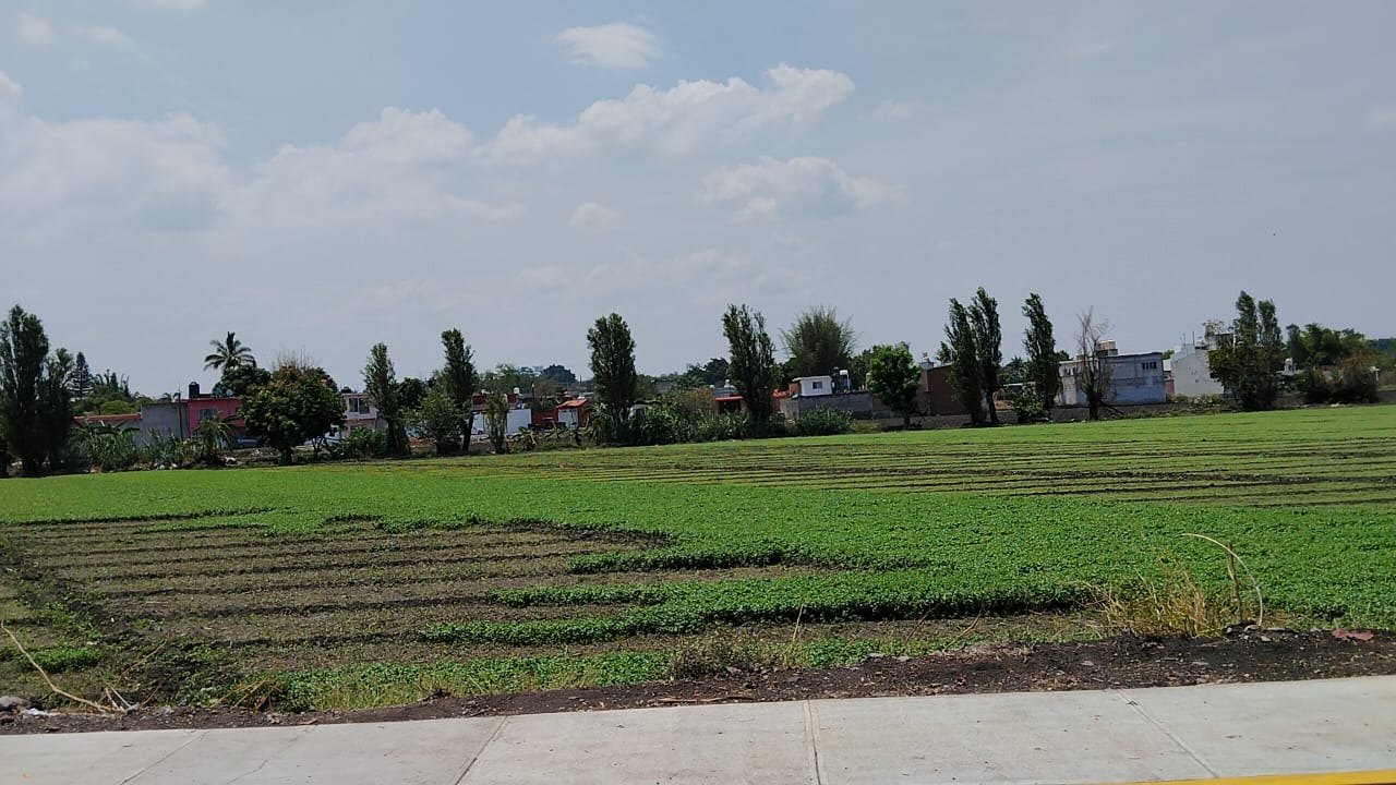 Exigen productores del campo entrega de herramientas agrícolas