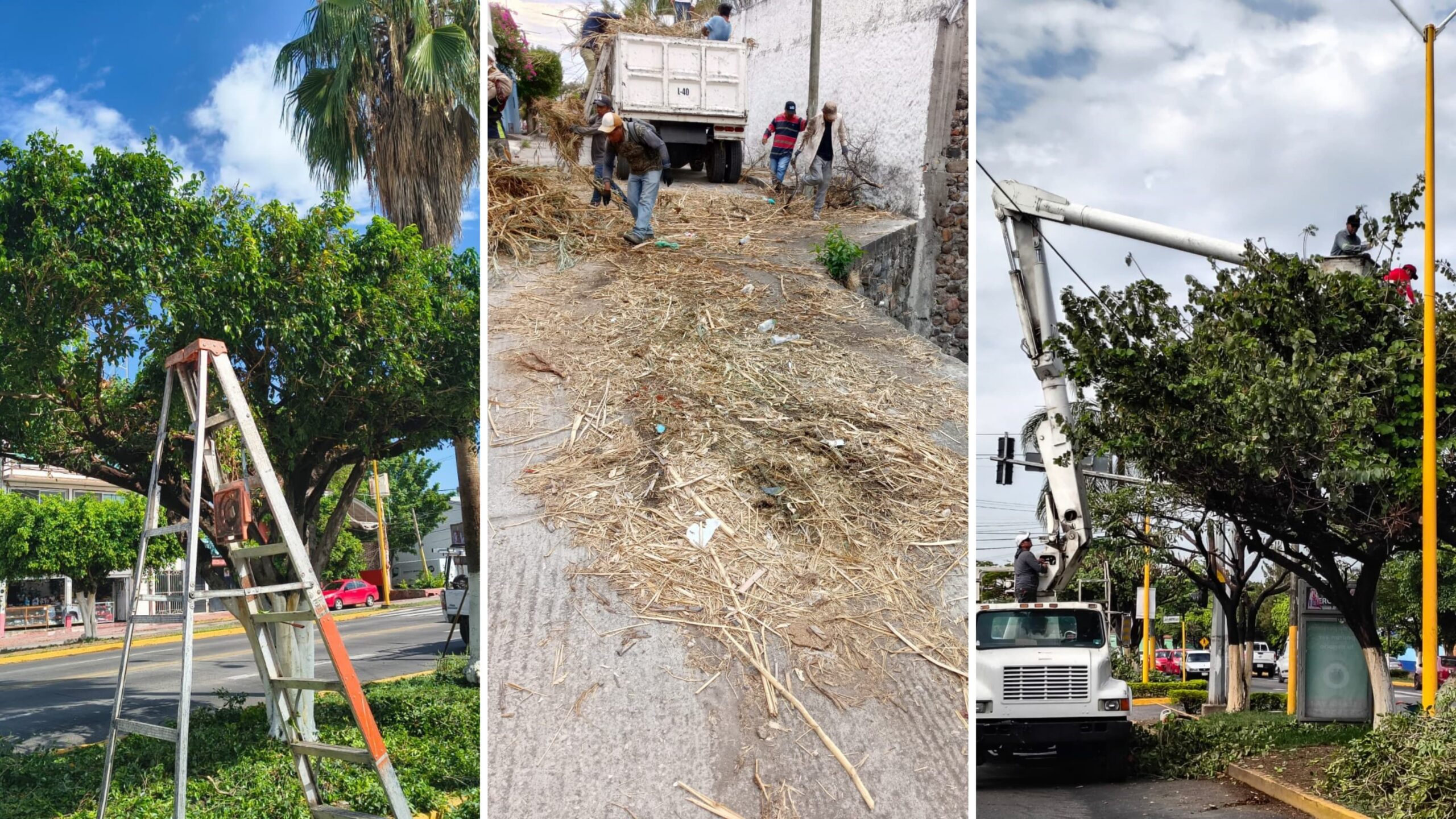 Atiende ayuntamiento de Cuautla limpieza y rehabilitación de espacios públicos