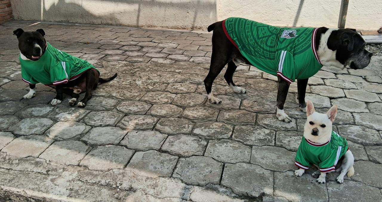 Lanzan venta de playeras mundialistas para mascotas a beneficio de perros rescatados en Cuautla