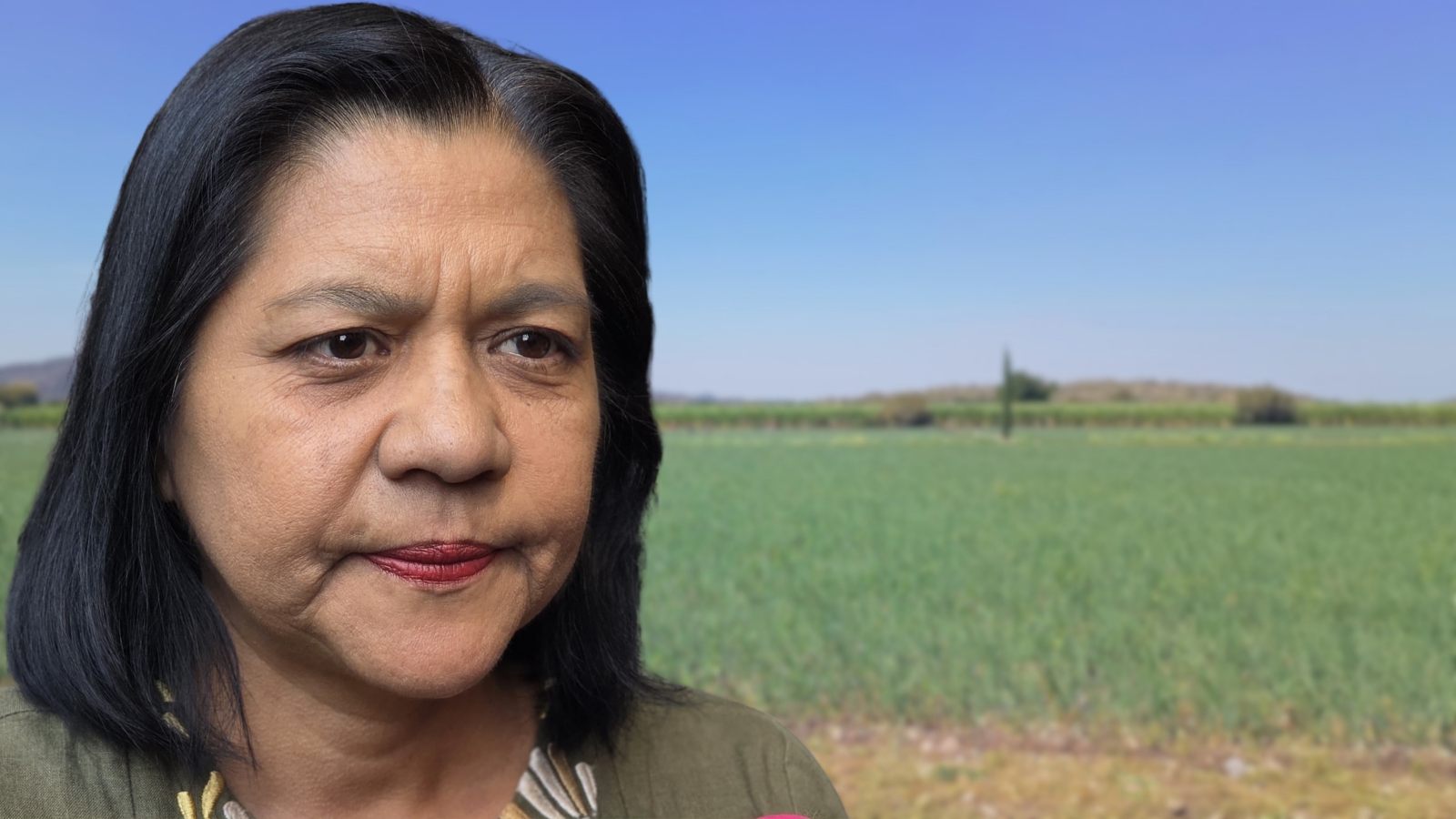 “El Niño” podría generar afectaciones al campo