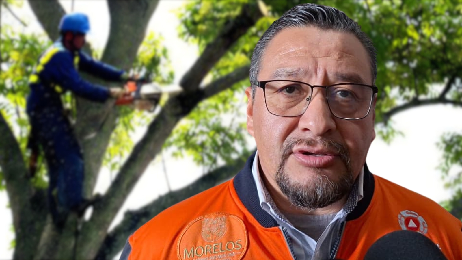 PC Morelos pide poda preventiva y retiro de árboles en mal estado