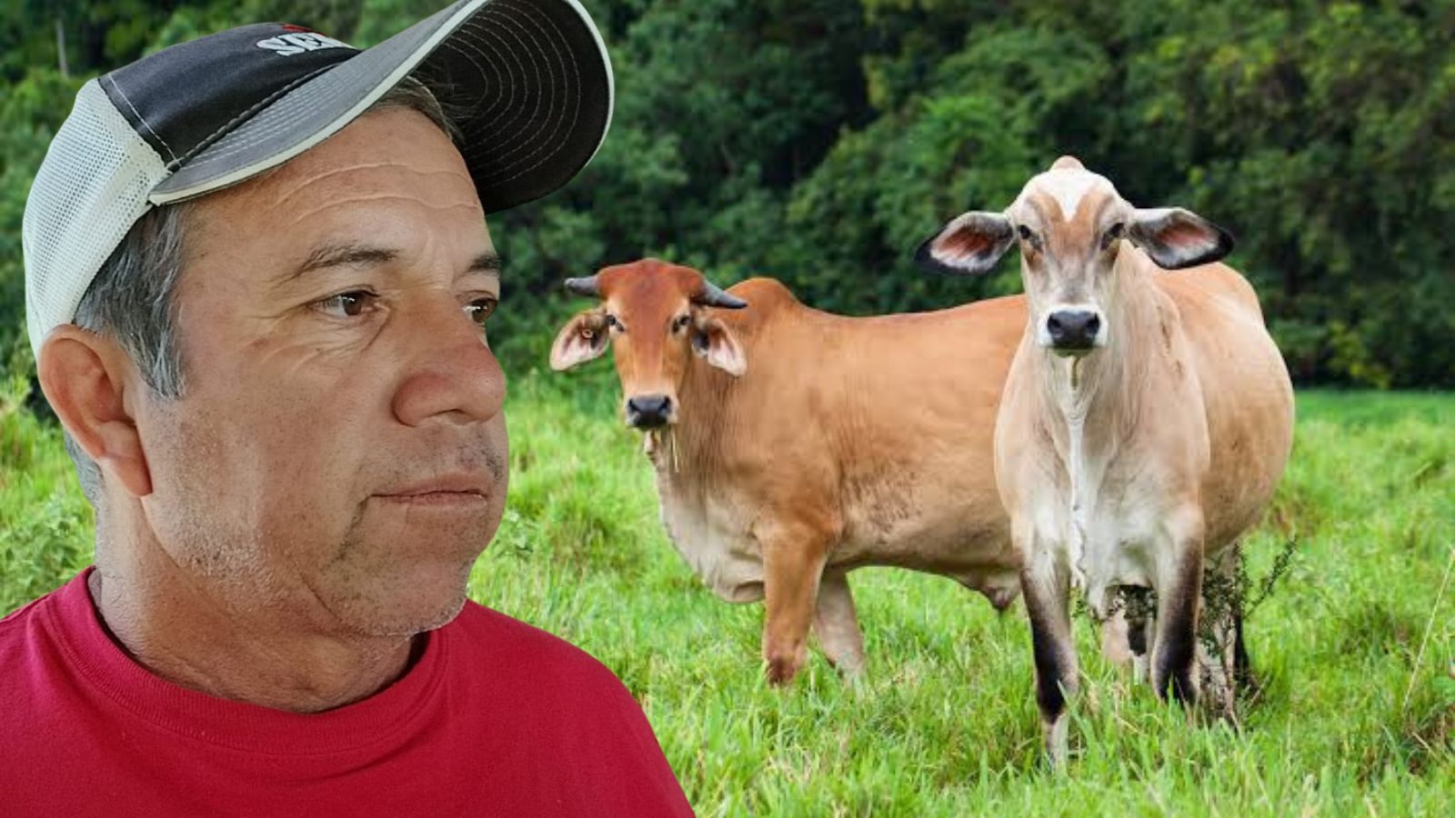 Piden mayor atención a problemas zoosanitarios en Cuautla