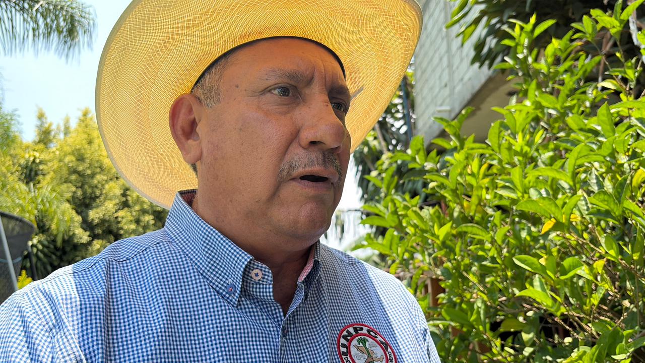 Nuevo etiquetado distinguirá azúcar de caña de la alta fructosa