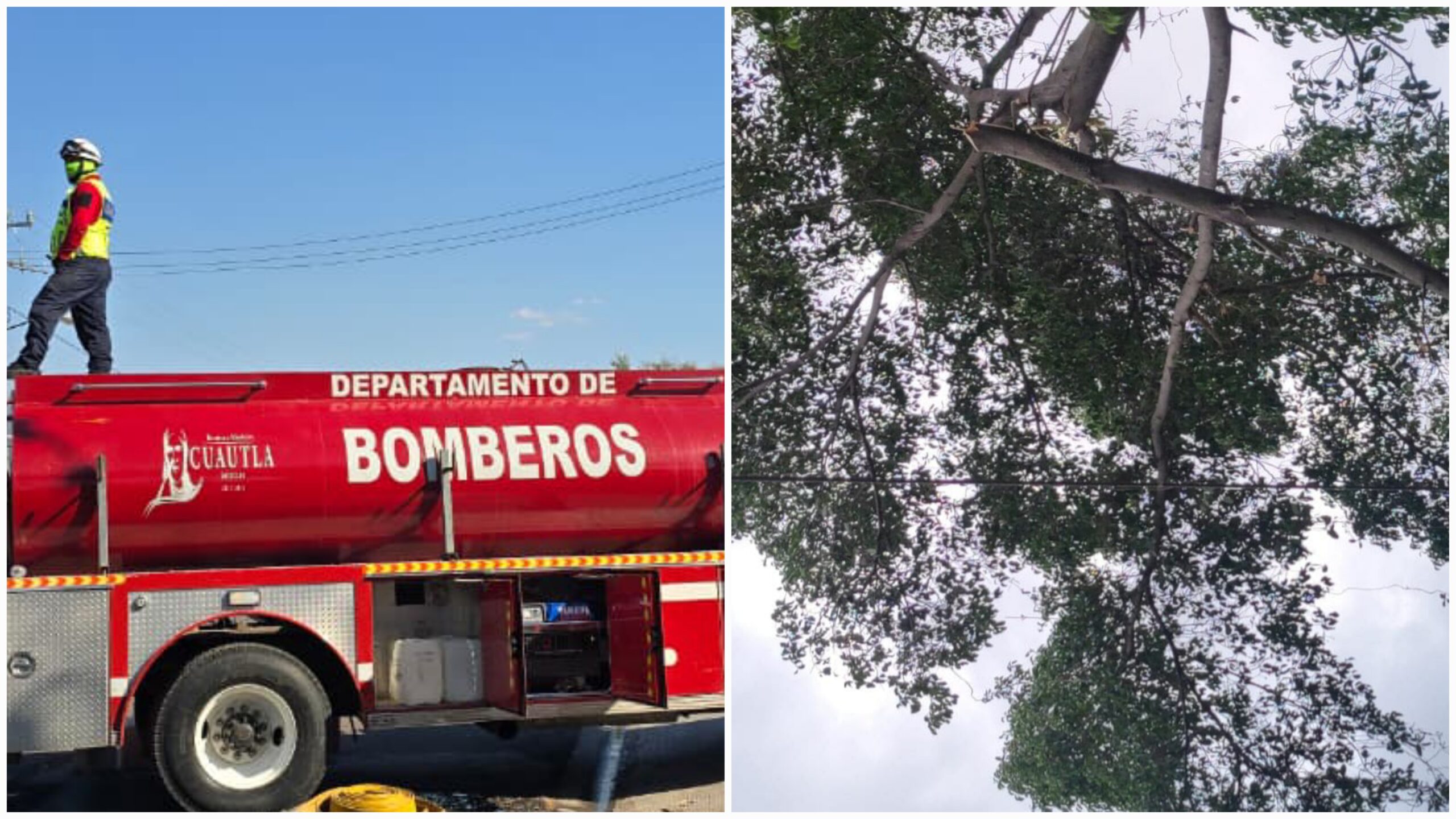 Bomberos de Cuautla atienden caída de ramas y retiro de panal de avispas