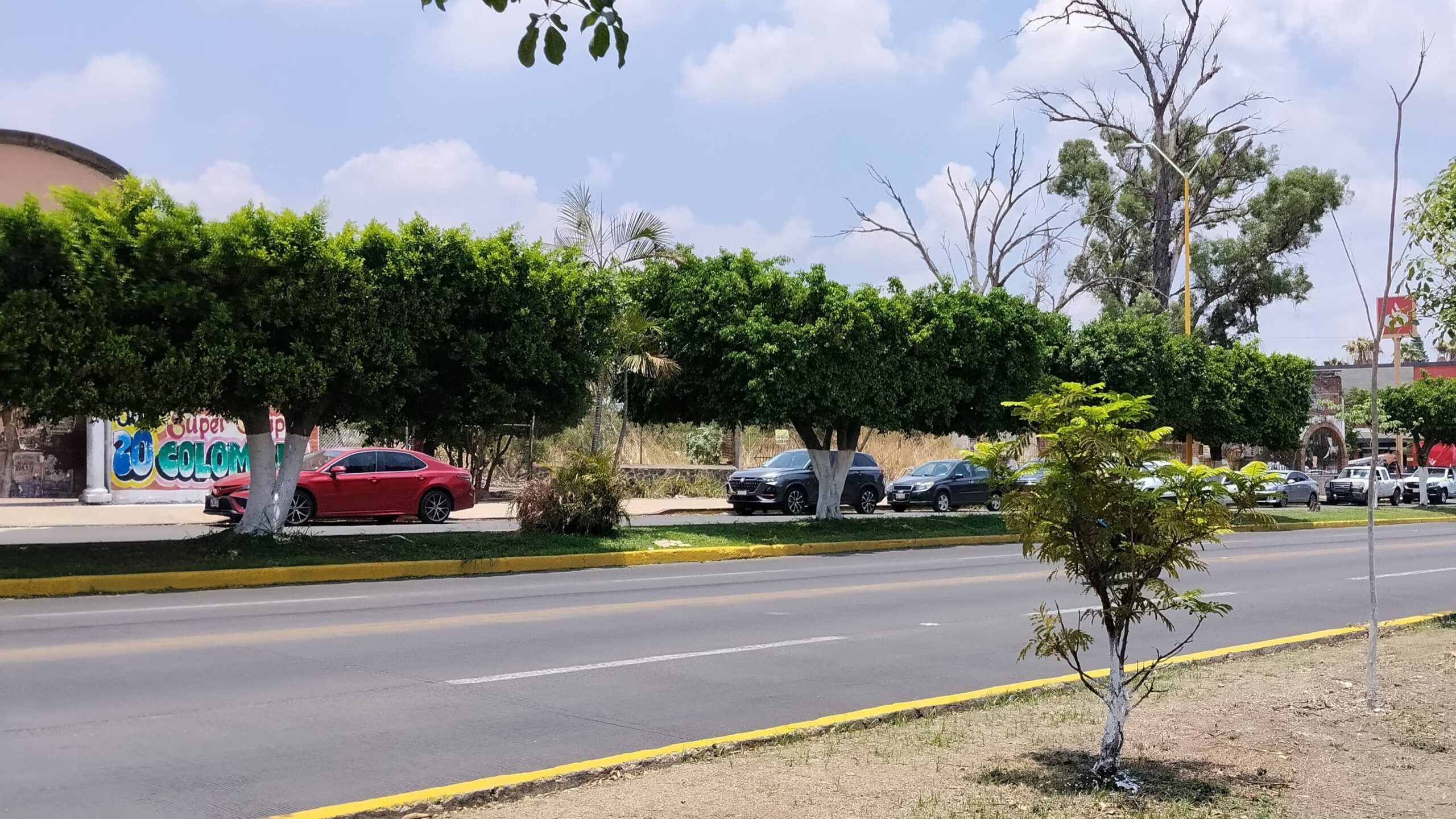 Piden capacitación para personal encargado de la poda de árboles