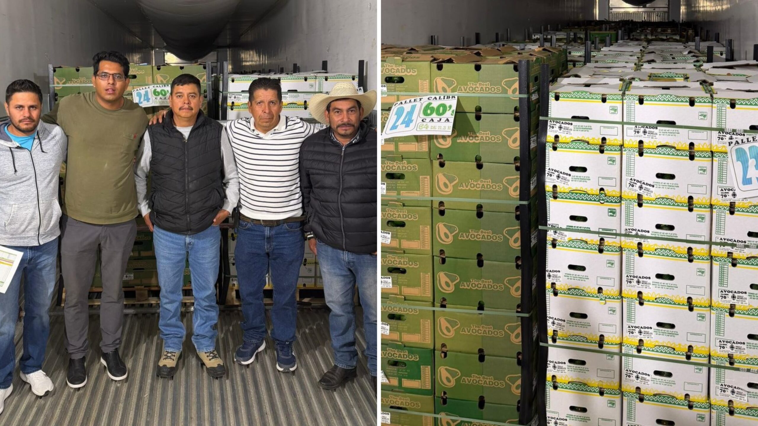 Consolida Morelos presencia del aguacate en Canadá