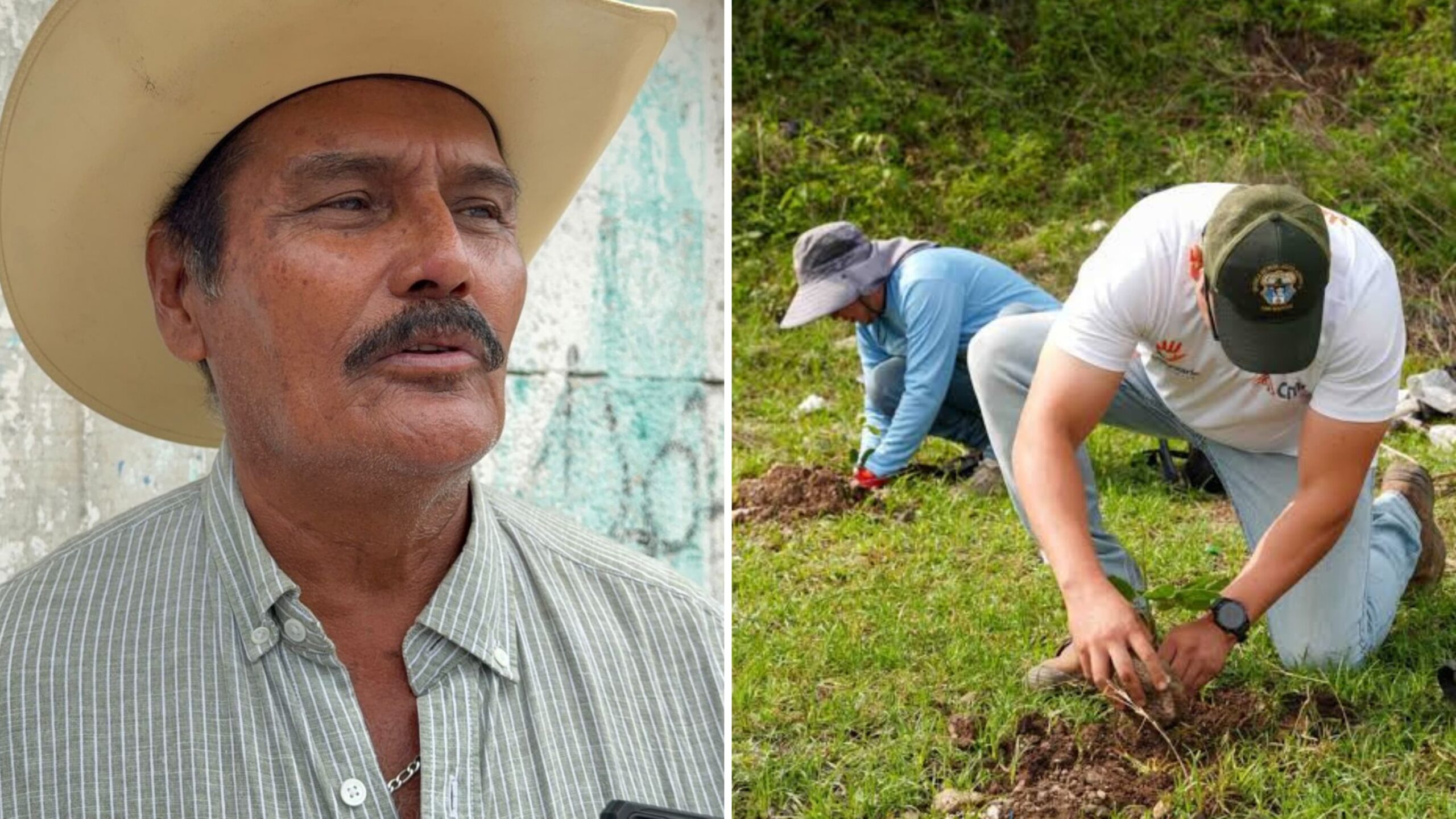 Sembrarán más de mil árboles en Anenecuilco