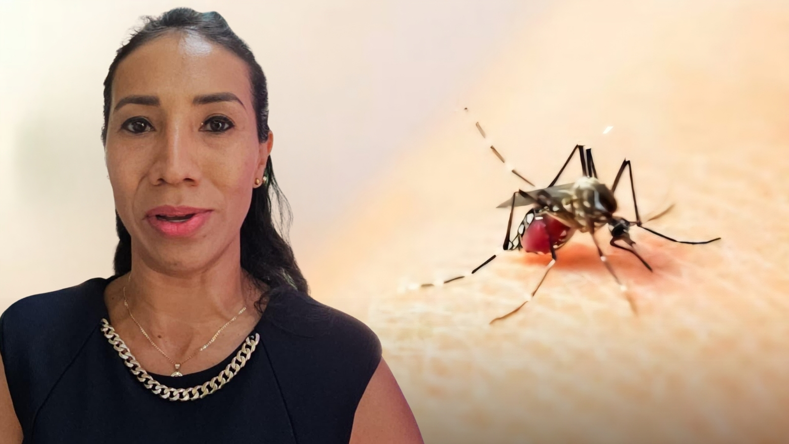 Cuautla se mantiene sin casos confirmados de dengue en lo que va de 2026
