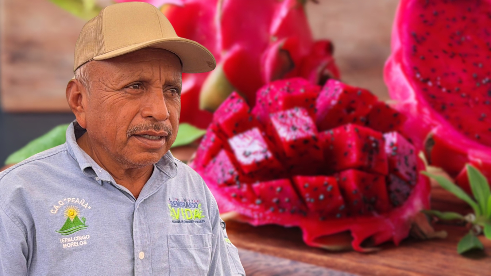 Productores de pitaya de Tepalcingo buscan apoyo para comercializar su cosecha