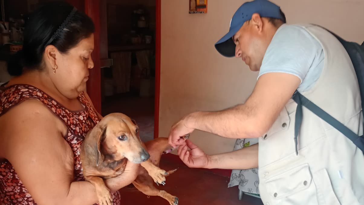 Aplican más de mil 700 vacunas antirrábicas durante jornada en Cuautla
