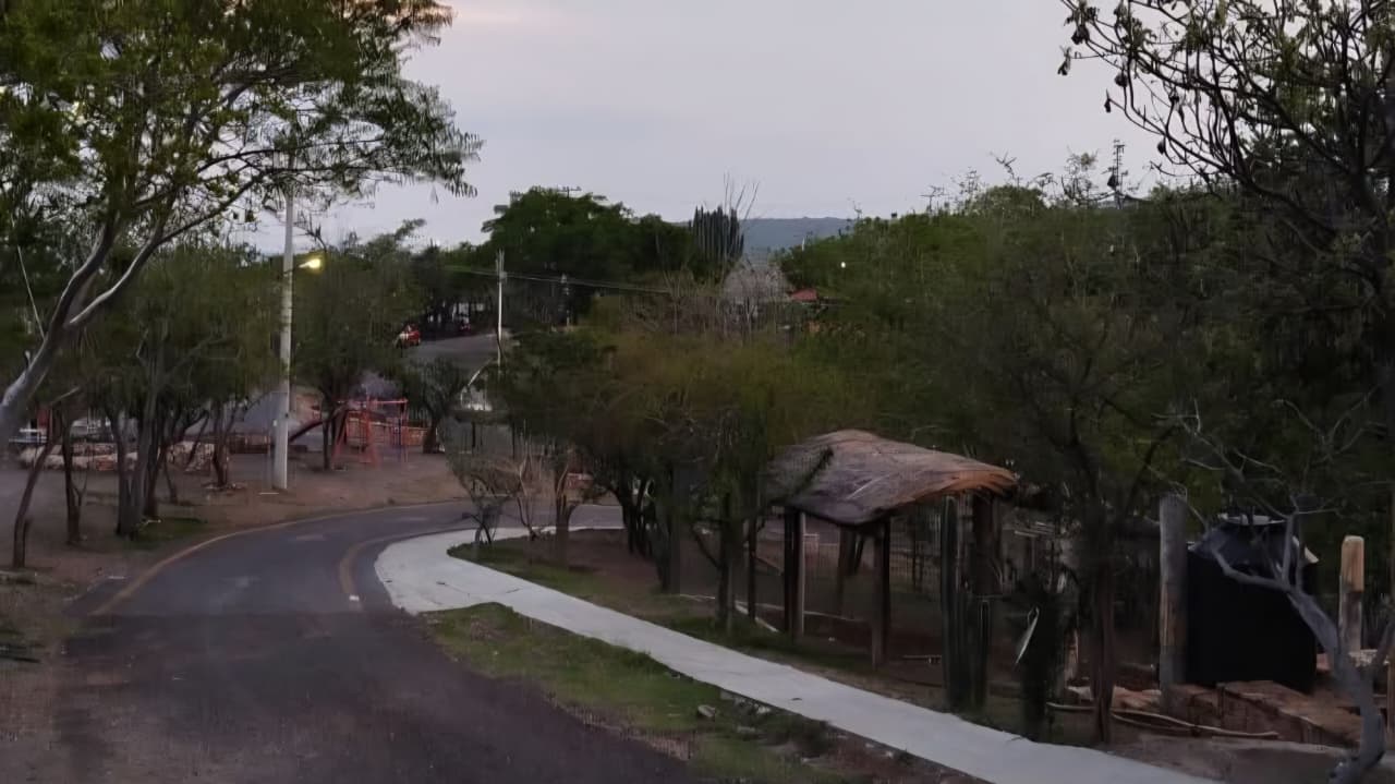 Inicia Jonacatepec campaña de reforestación con más de 3 mil árboles