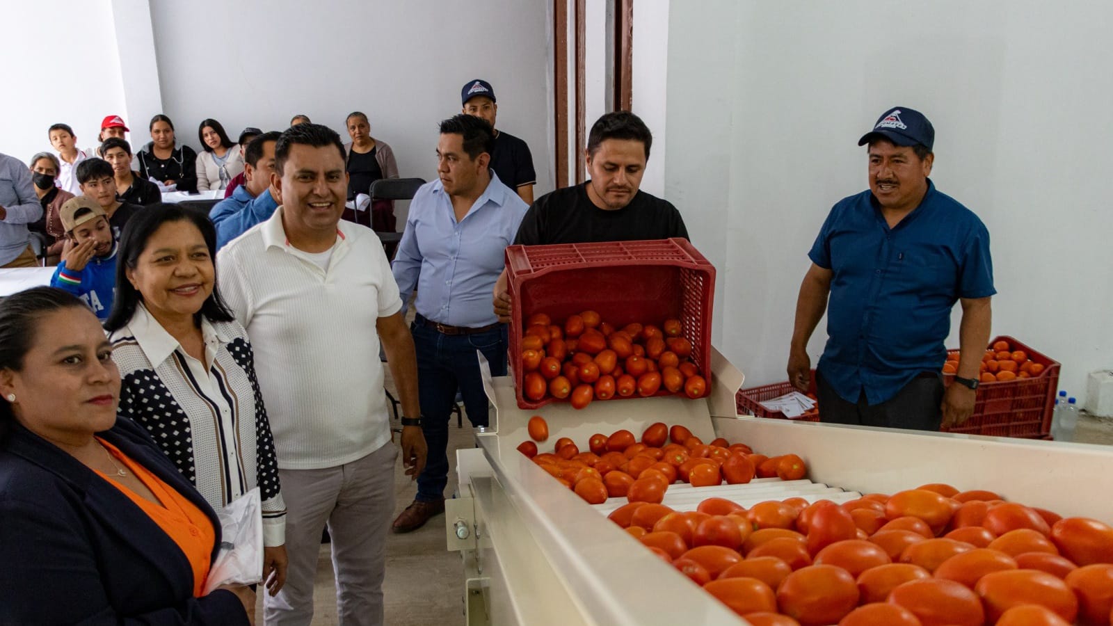 Impulsan modernización del campo con seleccionadora de jitomate en Tetela del Volcán