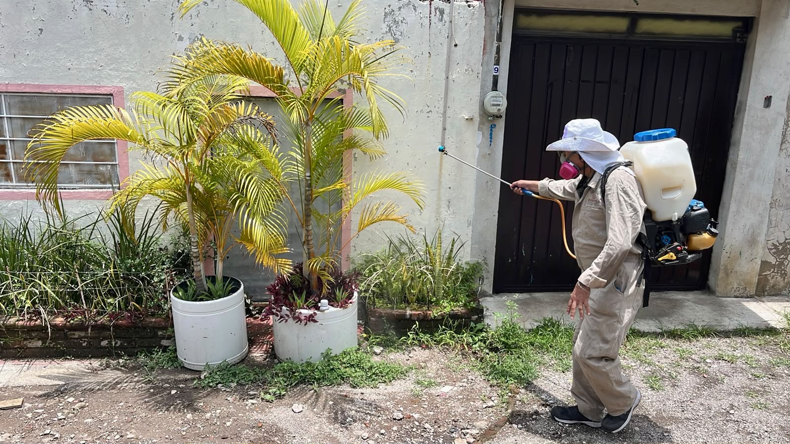 Atiende Ayuntamiento de Cuautla infestación de garrapatas en la colonia Peña Flores
