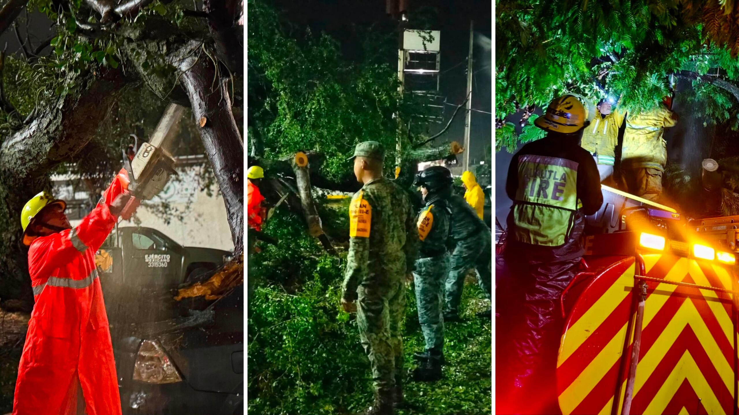 Despliegan operativo de emergencia en Cuautla tras fuertes lluvias y caída de árboles