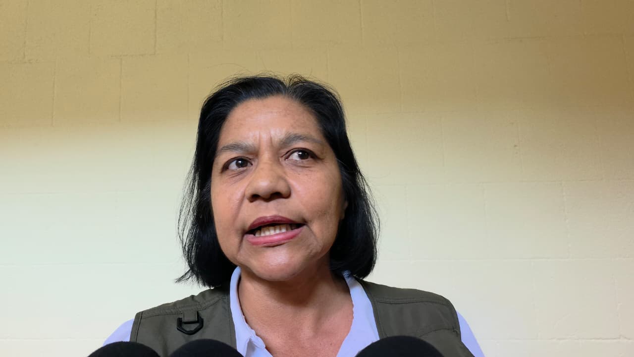 Detectan 23 casos de gusano barrenador en perros en Morelos
