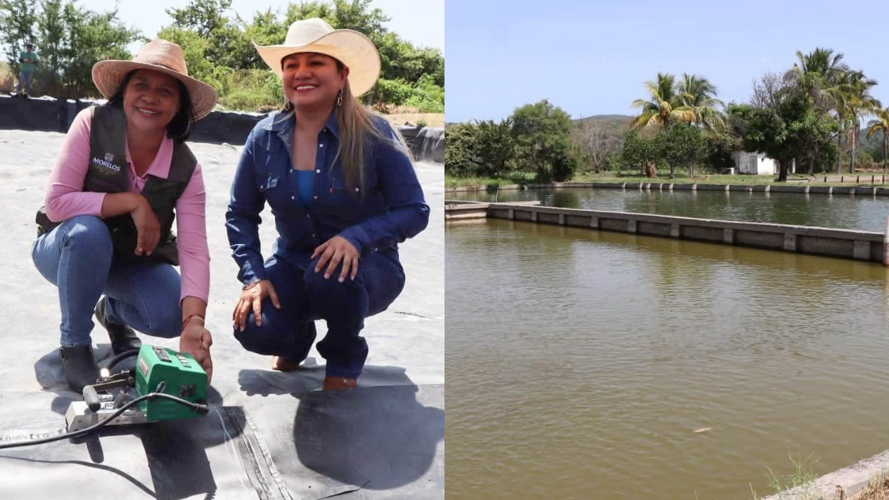 Entregan geomembranas para fortalecer la producción acuícola en Ayala