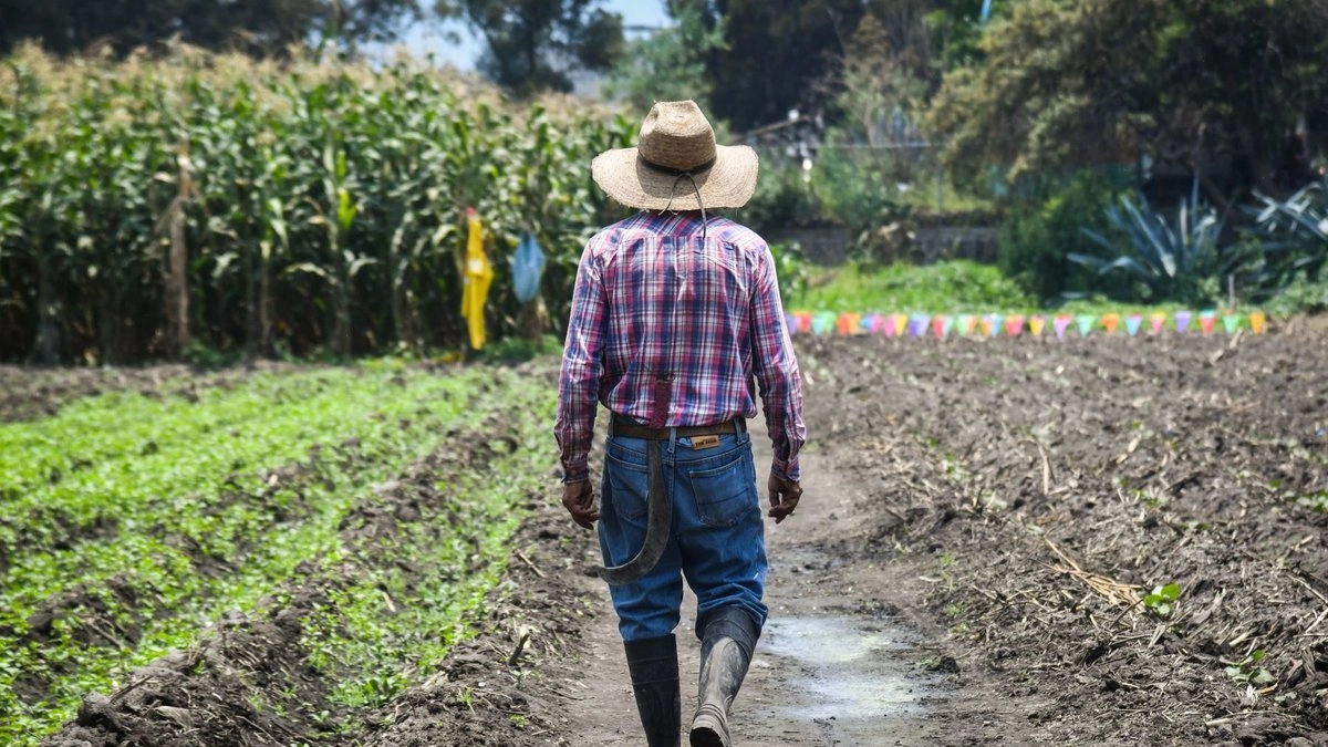 Campesinos huyen de sus tierras ante el acoso del crimen organizado