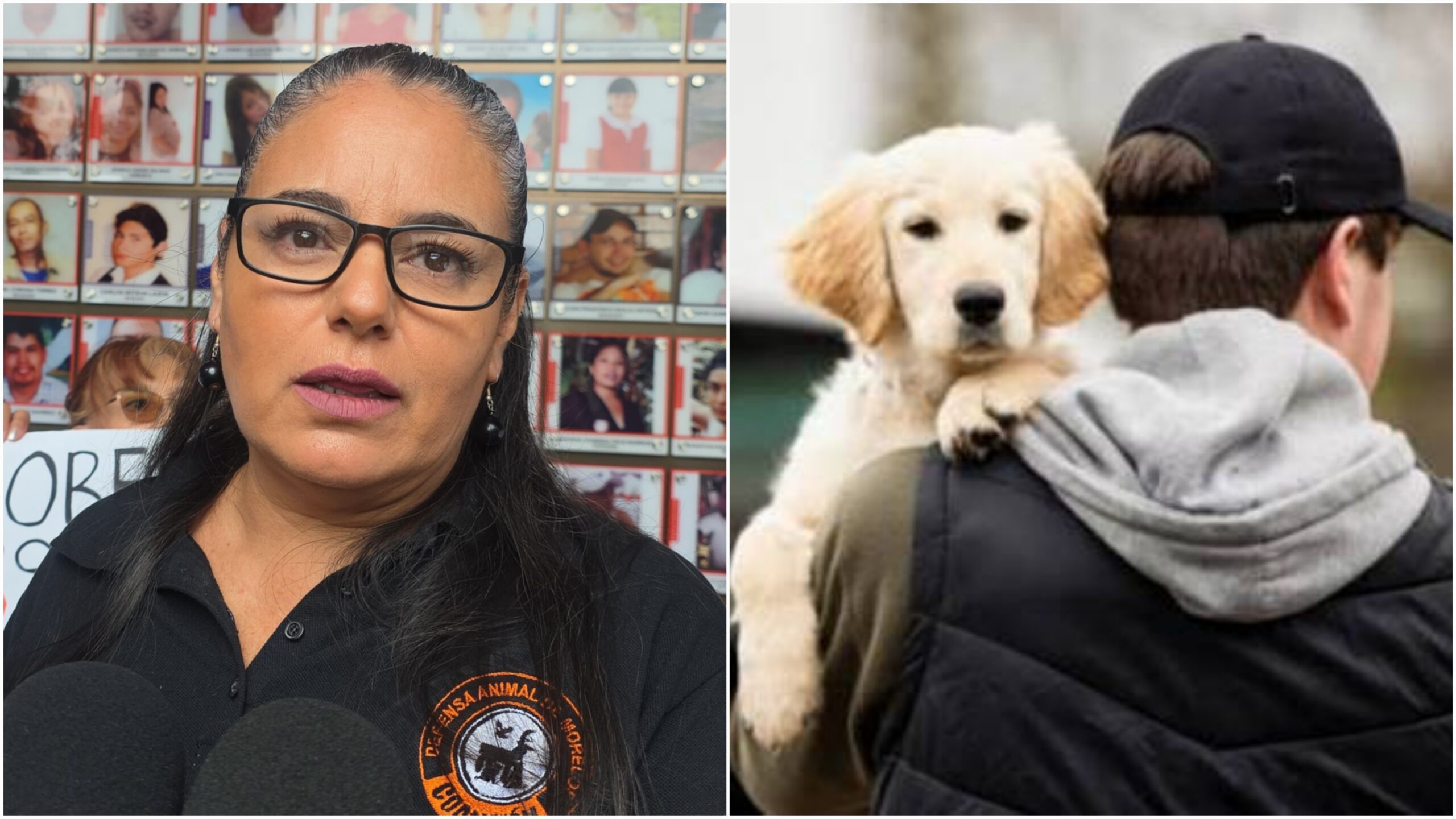 Aumenta el secuestro y la extorsión de mascotas en Morelos