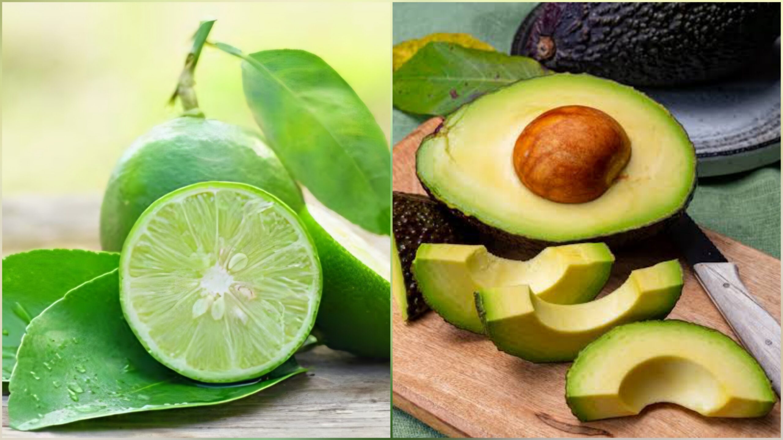 Bajan precios de aguacate y limón en Cuautla