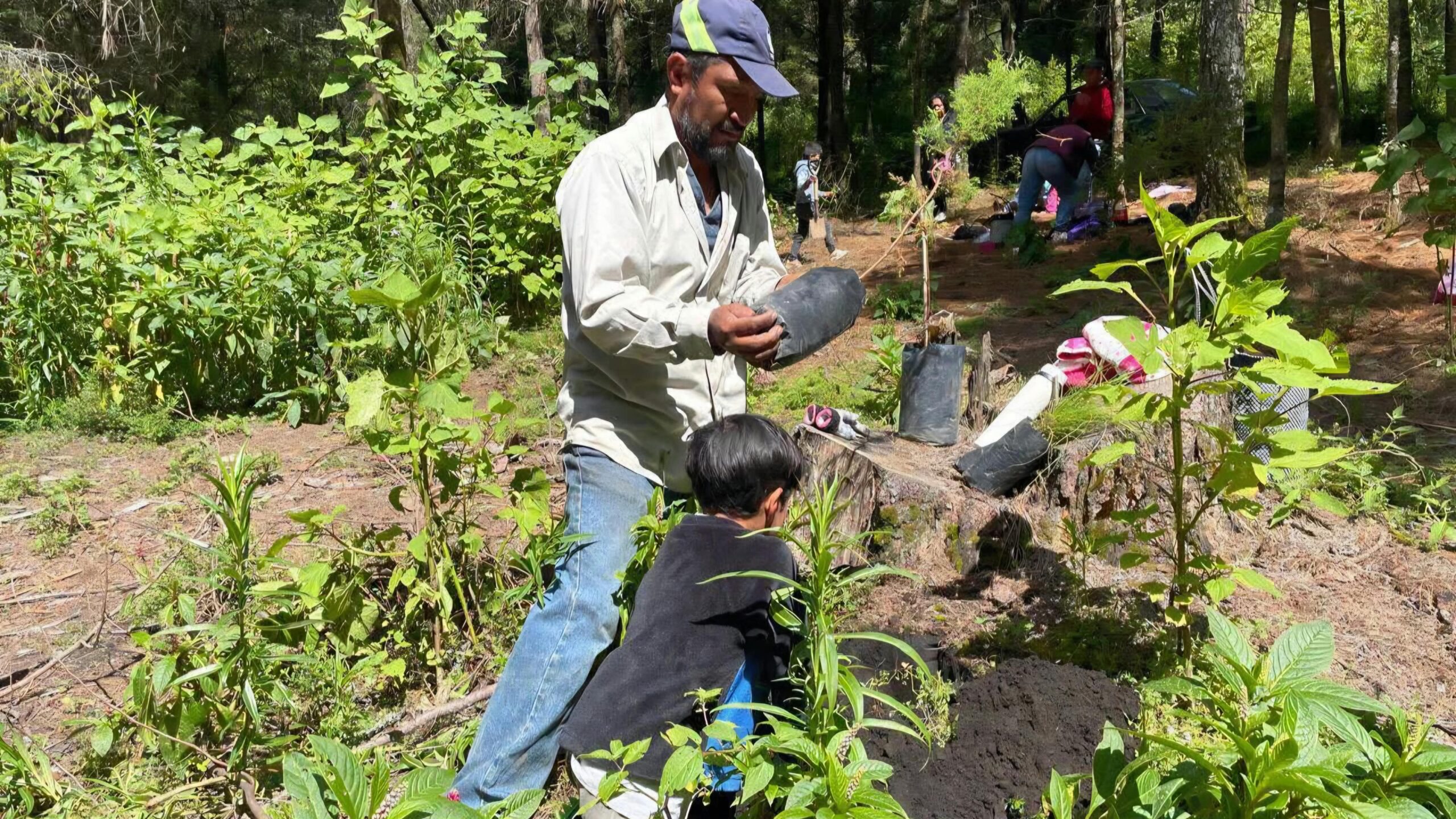 Niñas, niños y jóvenes de Tetela participan en jornada de reforestación
