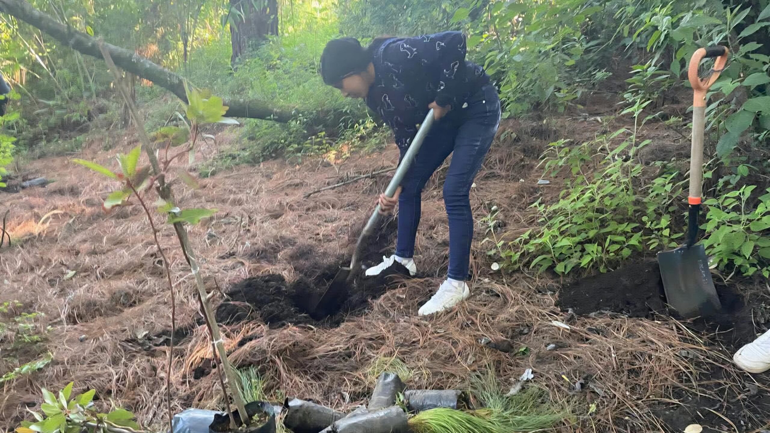 Reforestan San Pedro, Tlalmimilulpan para fortalecer el cuidado ambiental