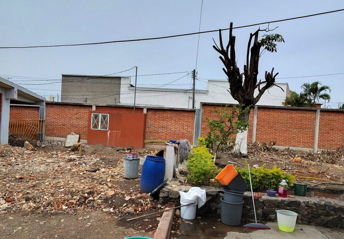 Denuncian padres de familia tala de árboles en primaria Hermenegildo Galeana