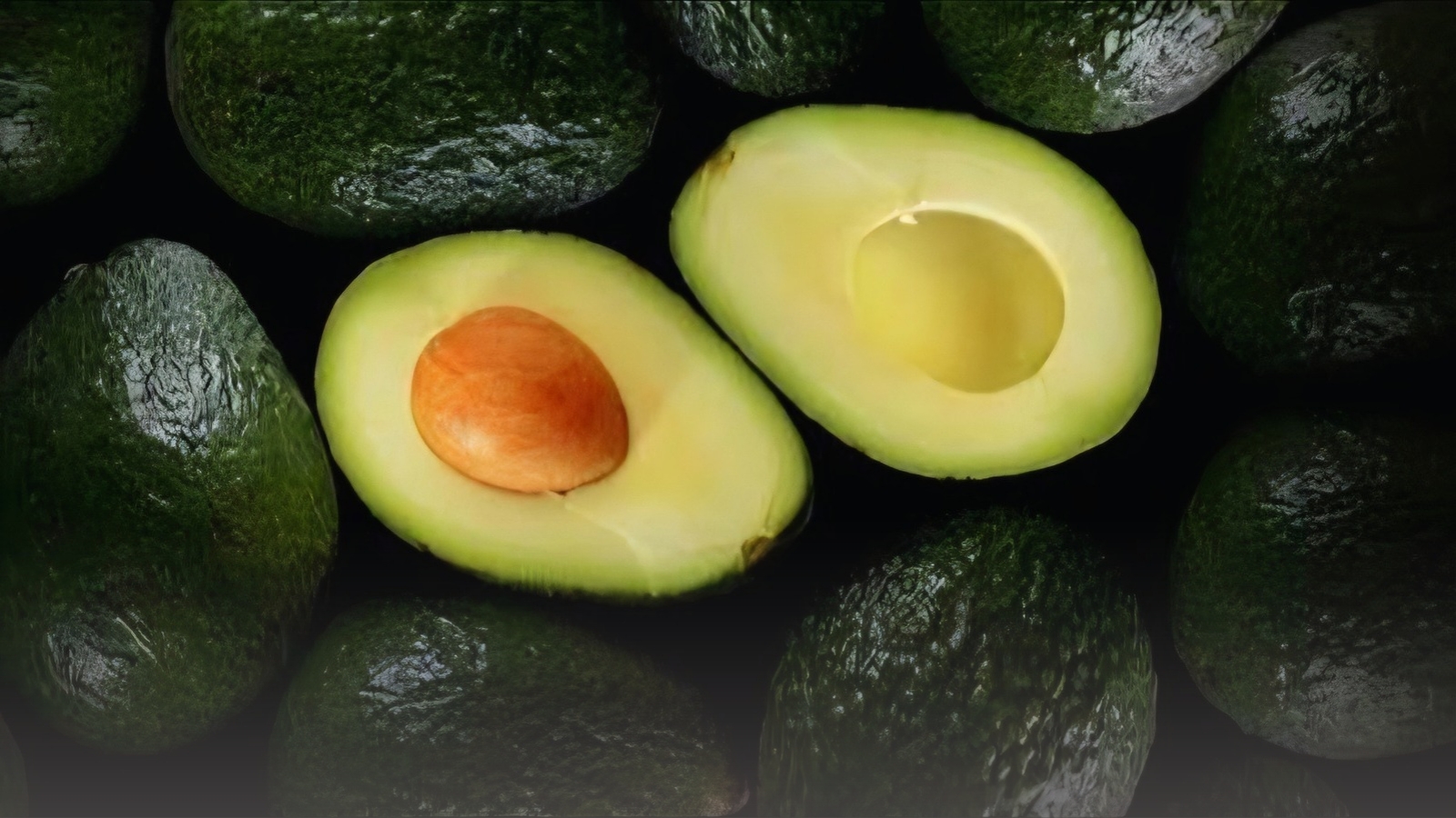 Preocupa a productores cierre de EU al aguacate michoacano