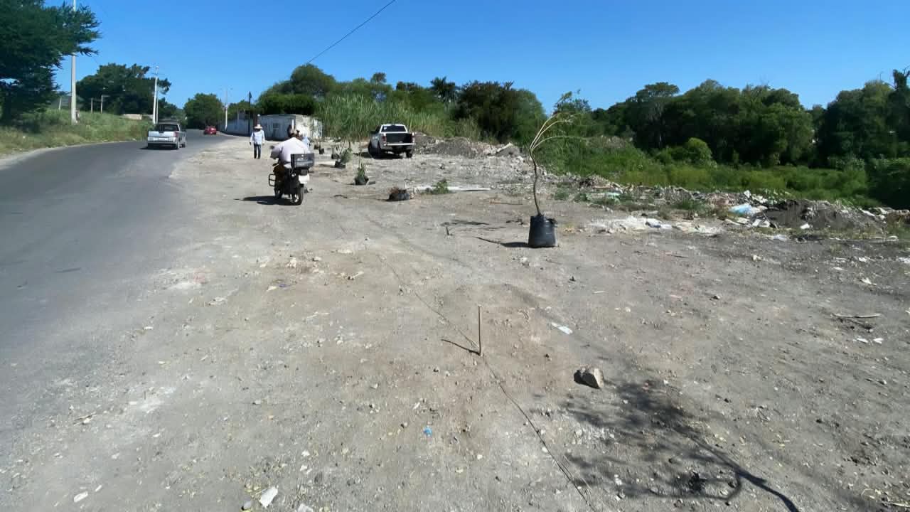 Inician rescate ambiental de predio junto al río Cuautla en Ayala