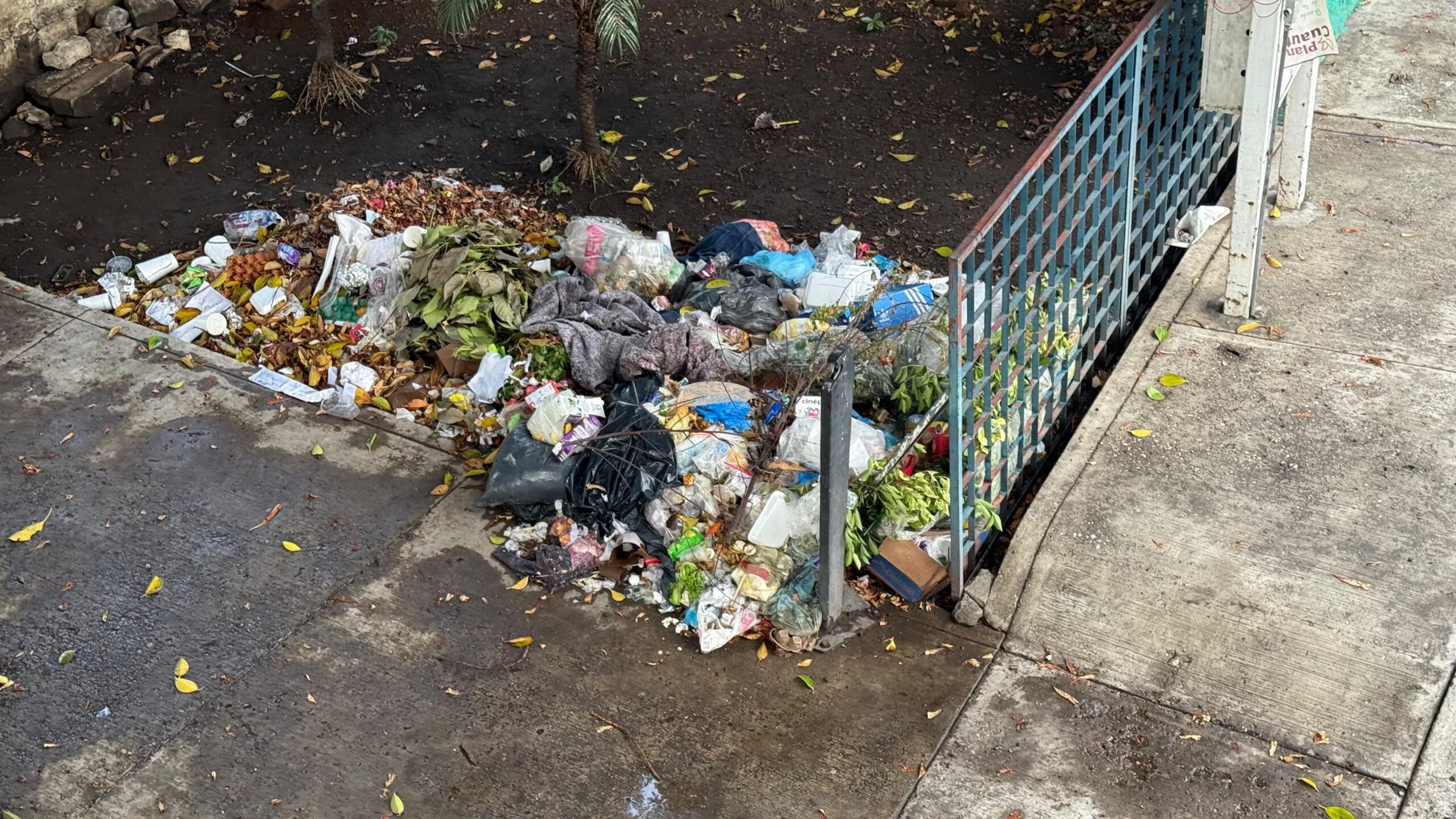 Llaman a no sacar basura a las calles fuera de horario en Cuautla
