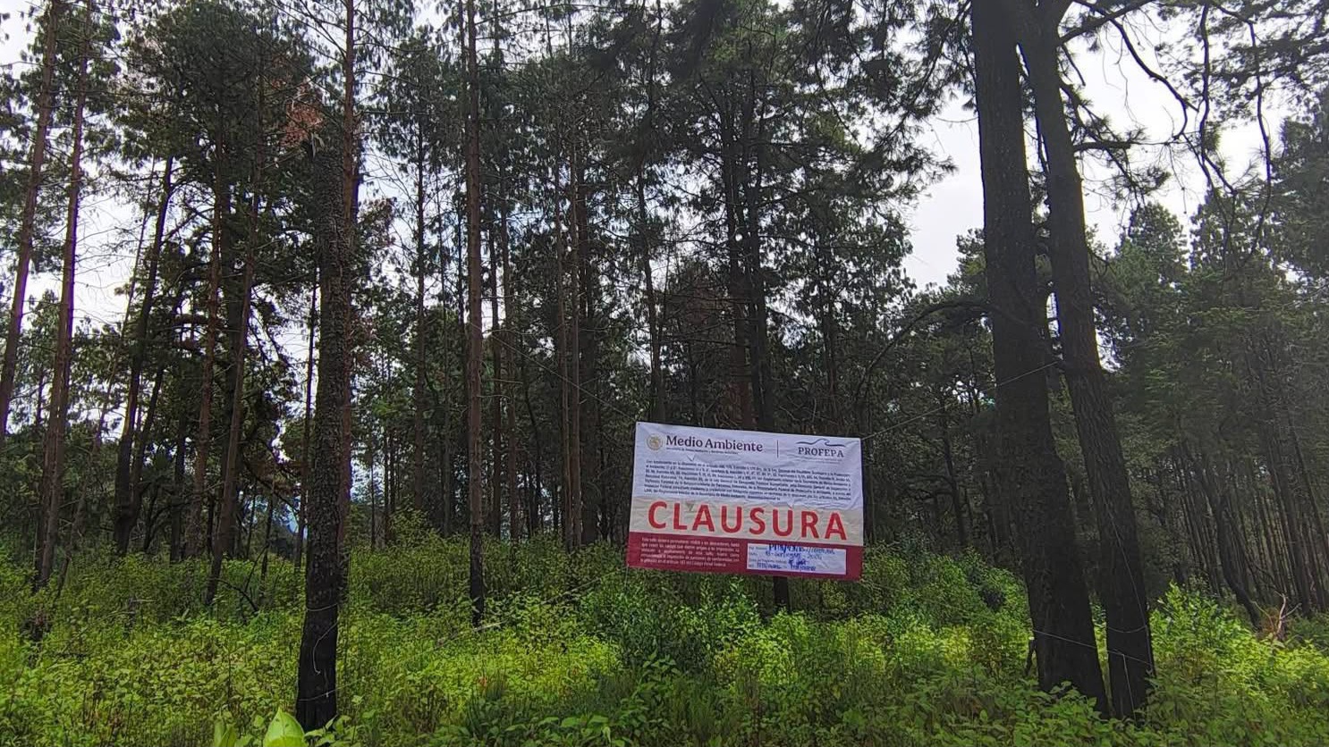 Clausura Profepa predios en territorio comunal de Tlalnepantla
