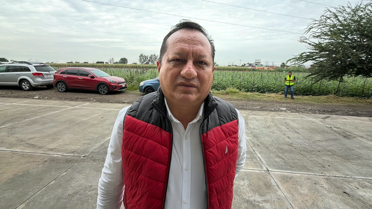 Revisan tala de árboles en dos escuelas de Cuautla