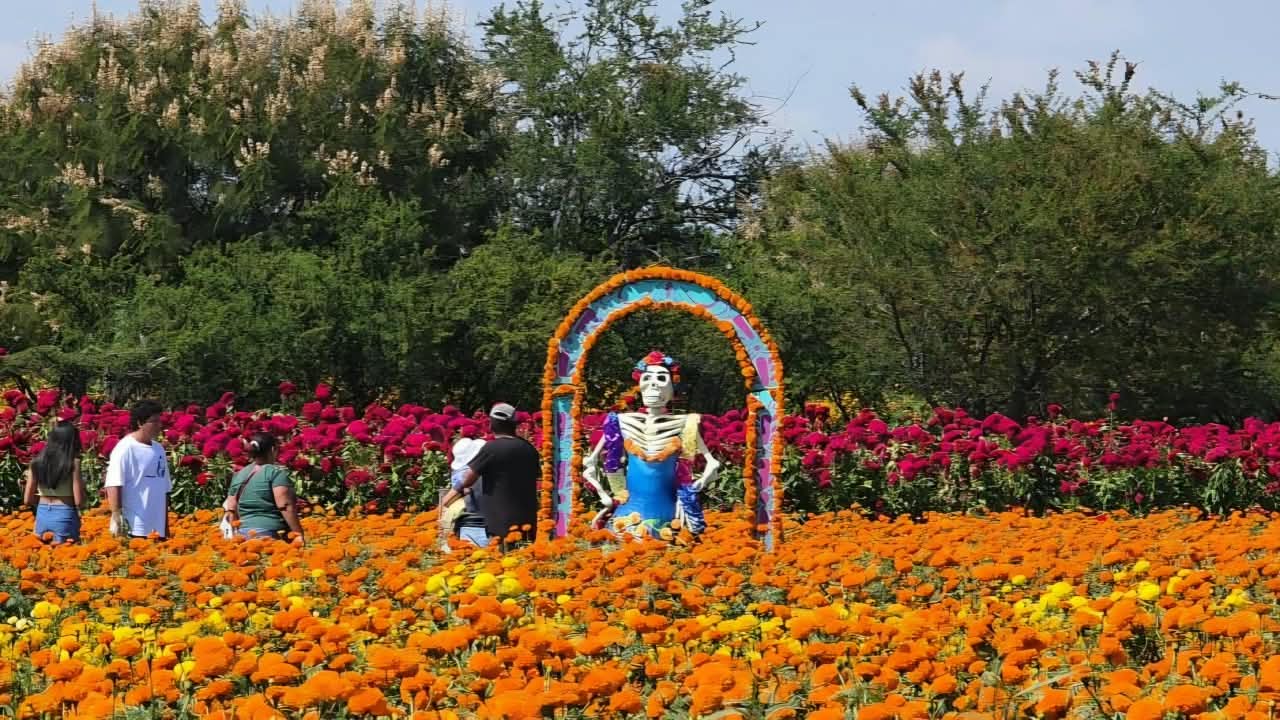 Amayuca volverá a llenarse de catrinas monumentales con el Festival Cempatzongo