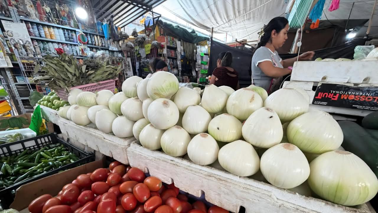 Otra vez por las nubes el precio de la cebolla; alcanza los 55 pesos por kilo Otra vez por las nubes el precio de la cebolla; alcanza los 55 pesos por kilo